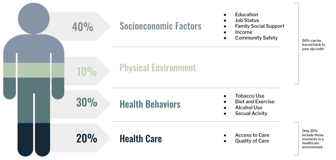 DETERMINANTS OF HEALTH INCLUDE intelligence overview